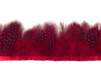 Red Guinea Hen Plumage Feather Trim