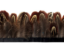 1 Yard - Almond Ringneck Pheasant Plumage Feather Trim