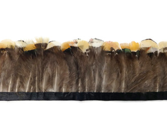 Yellow Lady Amherst Pheasant Plumage Feather Trim