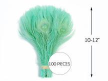 100 Pieces - Aqua Green Bleached & Dyed Peacock Tail Eye Wholesale Feathers (Bulk)