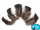 1 Pack - Black Bronze Wild Turkey T-Base Plumage Feathers 0.20 Oz.