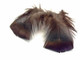 High quality natural black bronze body feathers. These turkey body feathers can be can be used for crafts, diy projects, masks, and more.