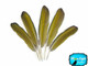 Exotic craft feathers shiny green and yellow medium length