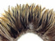 Natural multicolor fluffy light tan craft feathers