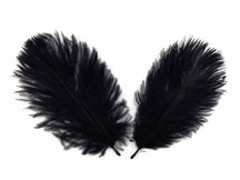 1 Pack - Black Ostrich Small Confetti Feathers 0.3 Oz