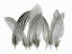Black and white short arrow patterned craft feathers