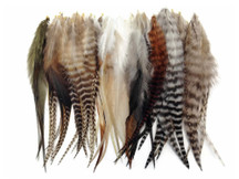 50 Pieces - Natural Tone Medium Length Rooster Saddle Whiting Hair Extension Wholesale Feathers (Bulk)