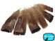5 Pieces - Natural Bronze Wild Turkey Tail Feathers