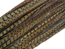 Brown and black skinny striped craft bird feathers