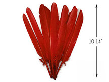 1/4 Lb - Red Turkey Pointers Primary Wing Quill Large Wholesale Feathers (Bulk)