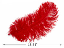 10 Pieces - 18-24" Red Large Prime Grade Ostrich Wing Plume Centerpiece Feathers