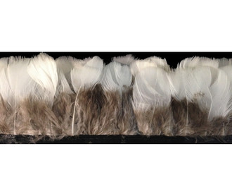  White Round Lady Amherst Pheasant Plumage Feather Trim