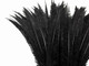 Long slim jet black craft feathers