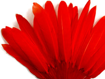 1/4 Lb. - Red Dyed Duck Cochettes Loose Wing Quill Wholesale Feather (Bulk)