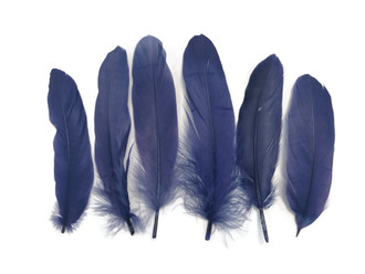 Navy Blue Goose Satinettes Loose Feathers 0.3 Oz.