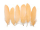Light orange soft fluffy quill tip feather