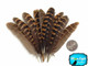 Natural Brown Partridge Wing Feathers