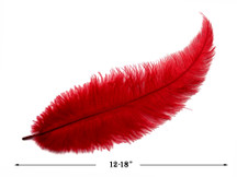 20 Pieces - Red Mini Spads Ostrich Chick Body Feathers