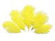Bright yellow fluffy little ostrich feathers