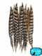 Black and brown patterned pheasant feathers