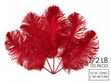 1/2 Lb - 12-16" Red Ostrich Tail Wholesale Fancy Feathers (Bulk)