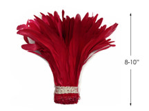 1/2 Yard - 8-10" Red Strung Natural Bleach & Dyed Rooster Coque Tail Wholesale Feathers (Bulk)