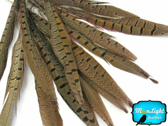 8-10" Natural Ringneck Pheasant Tail Feathers