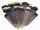 High quality natural brown and black turkey tail feathers. These amazing feathers can be used for decor, accents in a bouquet, masks, and other crafts.