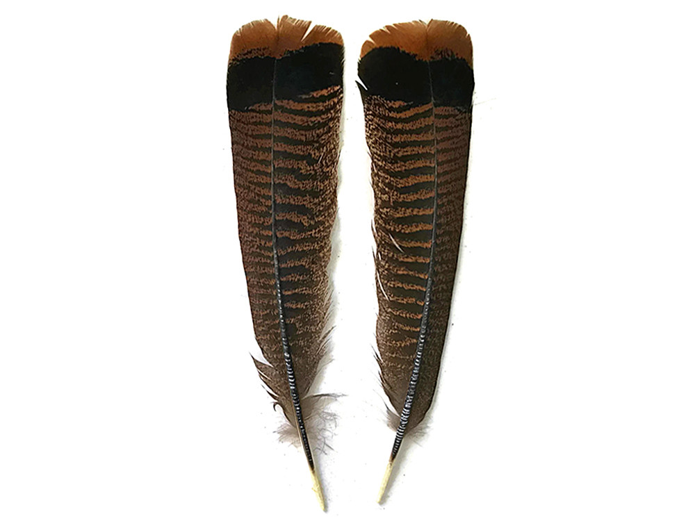 tail-feather-ubicaciondepersonas-cdmx-gob-mx