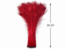 100 Pieces - 30-35" Red Bleached & Dyed Peacock Tail Eye Wholesale Feathers (Bulk) 