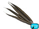 Long skinny patterned pheasant feathers