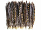 Natural colored slim strong feathers