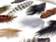 Brown black and tan fluff striped rooster craft feathers