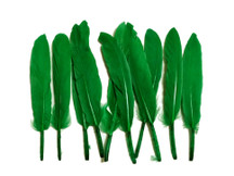 1 Pack - Kelly Green Dyed Duck Cochettes Loose Wing Quill Feather 0.30 Oz.