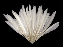 1/4 Lbs - White Duck Pointer Primary Wing Wholesale Feathers (Bulk)