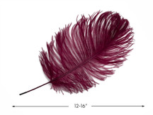 10 Pieces -  12-16" Burgundy Dyed Ostrich Tail Fancy Feathers
