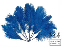 1/2 Lb - 12-16" Turquoise Blue Ostrich Tail Wholesale Fancy Feathers (Bulk)