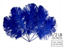 1/2 Lb - 12-16" Royal Blue Ostrich Tail Wholesale Fancy Feathers (Bulk)