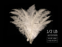 1/2 Lb - White Large Ostrich Spads Wholesale Feathers 20-28" (Bulk)