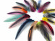 Colorful Mini Laced Hen Cape Feathers 0.02 Oz. (Bulk)