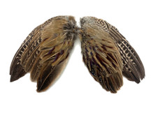 1 Pair - Natural Ringneck Pheasant Rooster Whole Wing Feather Set (Left and Right)