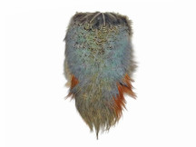 1 Piece - Natural Ringneck Pheasant Complete Rump Patch Feather Pelt