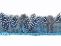 Light blue spotted patterned strip of feathers