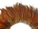 Natural reddish brown fluffy rooster feathers