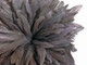 Gray strip of fluffy long rooster feathers