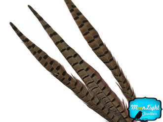16-18" Natural Long Ringneck Pheasant Tail Feathers
