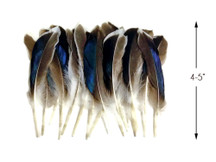 1 Pack - Iridescent Blue Mix Mallard Duck Wing Feathers 0.15 Oz.