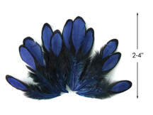 1 Dozen - Navy Blue Whiting Farms Laced Hen Saddle Feathers