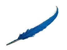 Turquoise Blue Long Ostrich Nandu Trimmed Feathers 