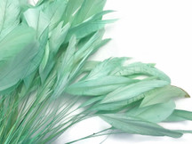 1 Dozen - Aqua Green Stripped Rooster Coque Tail Feathers